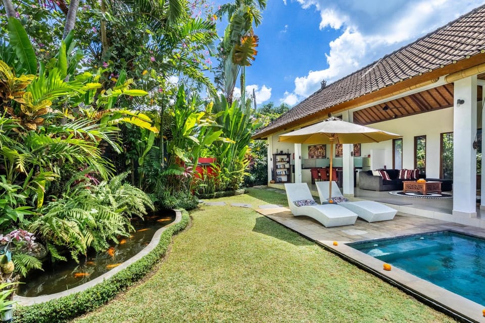 Garden, Balcony/Terrace, Swimming pool, sunbed