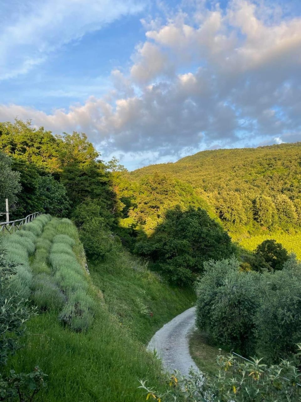 Agriturismo Podere Querceto Bed and Breakfast in Tuscany