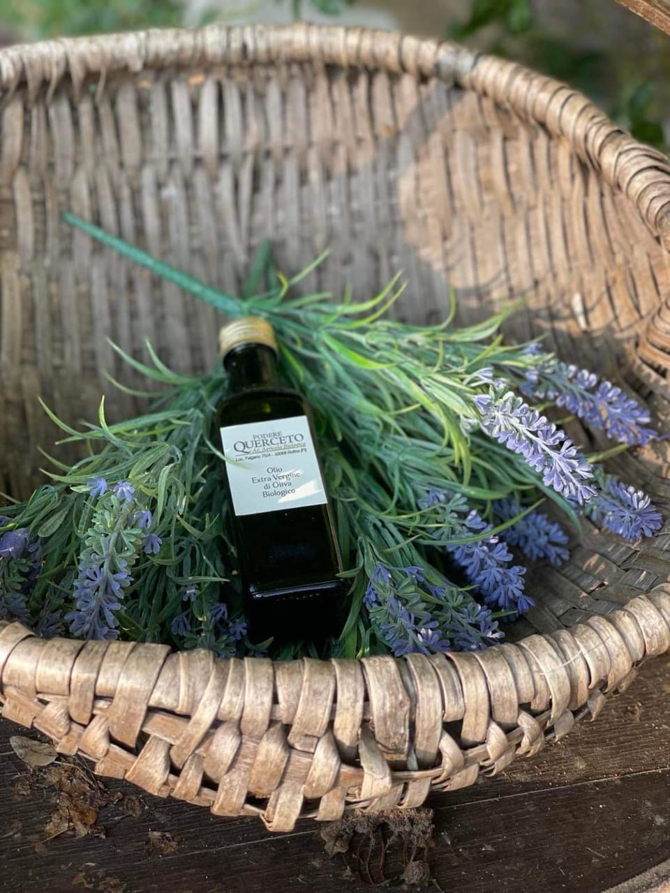 Agriturismo Podere Querceto Bed and Breakfast in Tuscany