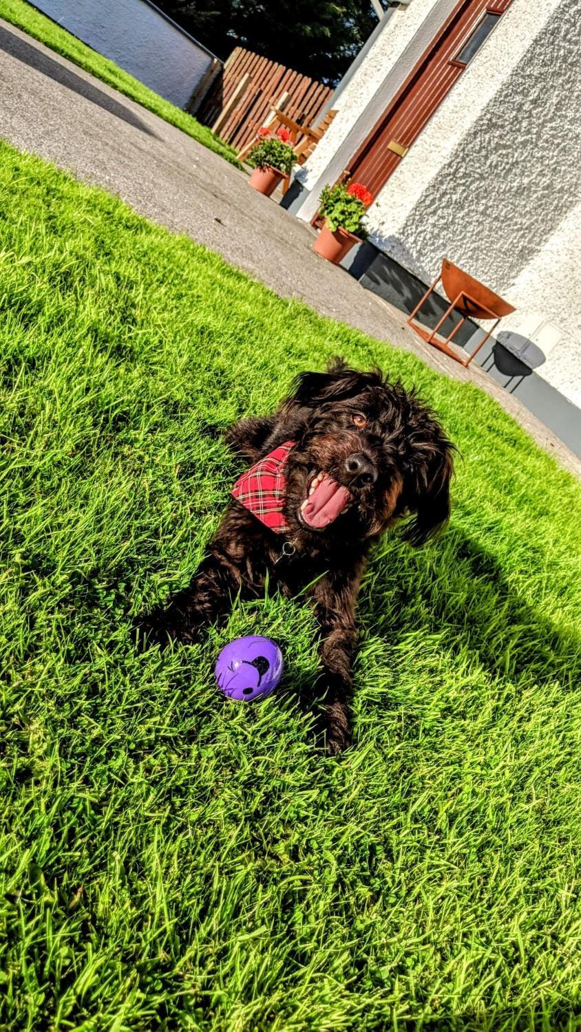 Wild Atlantic Haven, cosy home nr. Ballina & Beach House in County Sligo