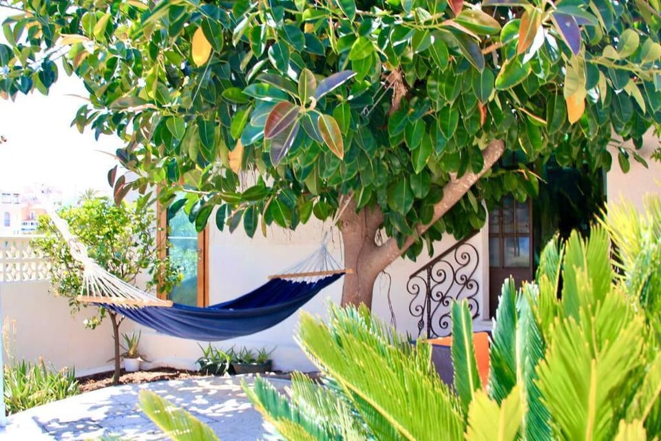 Garden, Garden view, Pool view, Sea view, sunbed