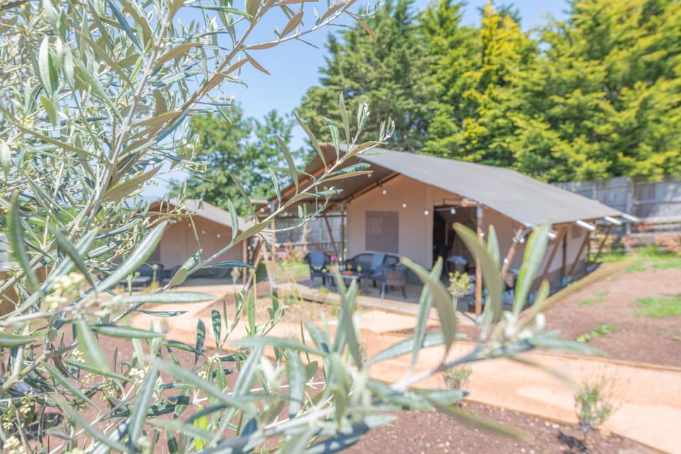 Luxury Glamping at Stags Head Luxury tent in Teignbridge
