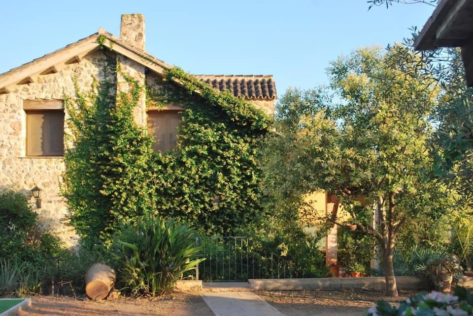 Property building, Garden, Garden view