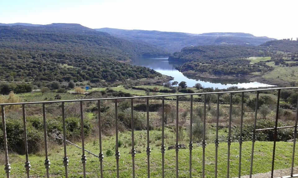 Lake view