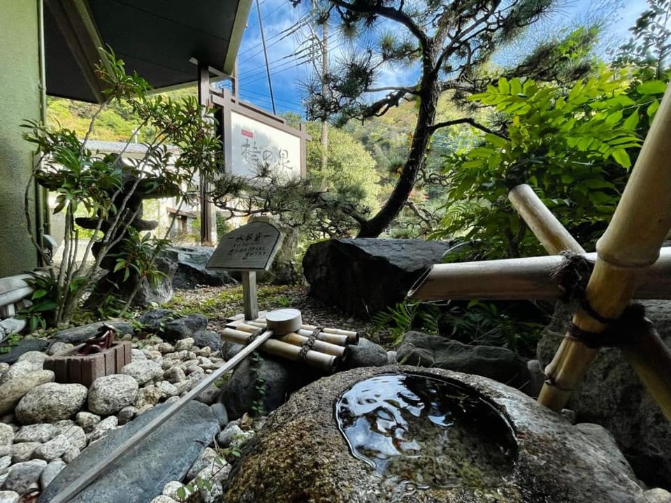 Day, Garden