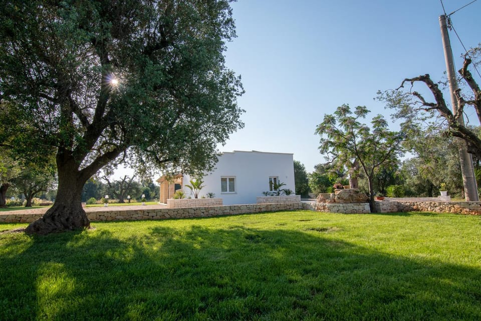 Property building, Garden, Garden