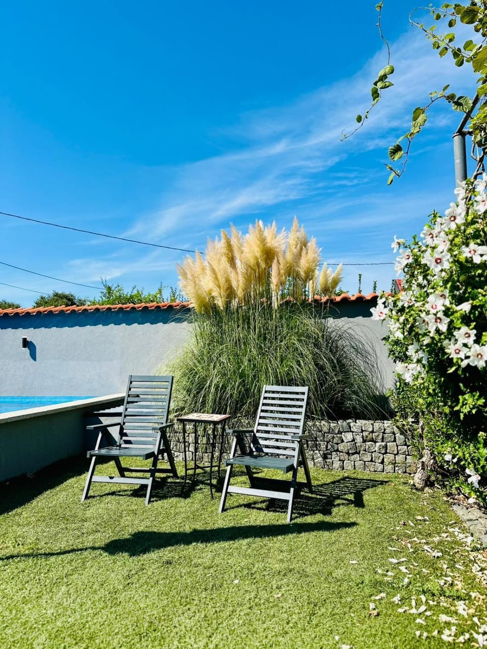 Day, Garden view