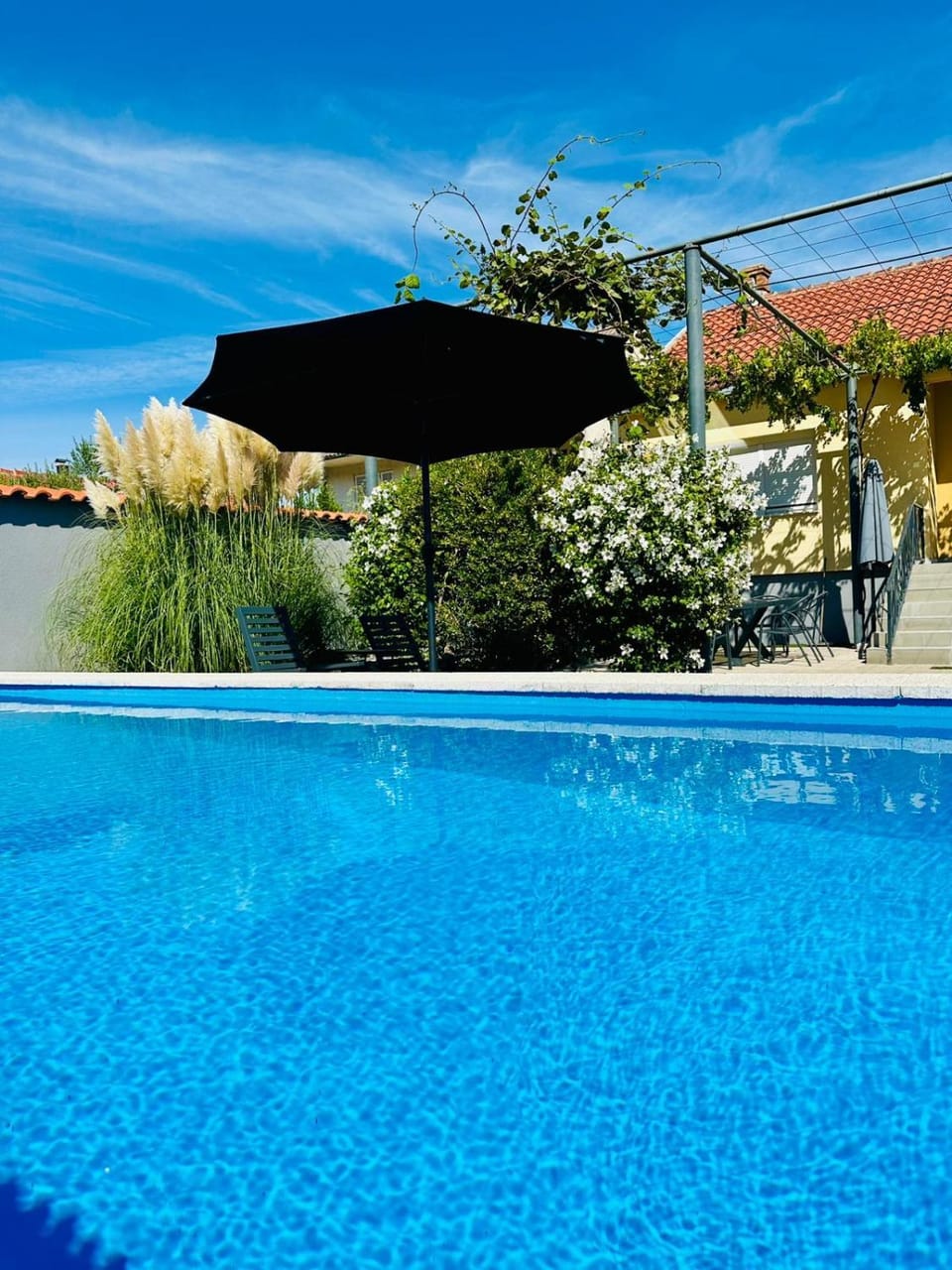 Day, Swimming pool