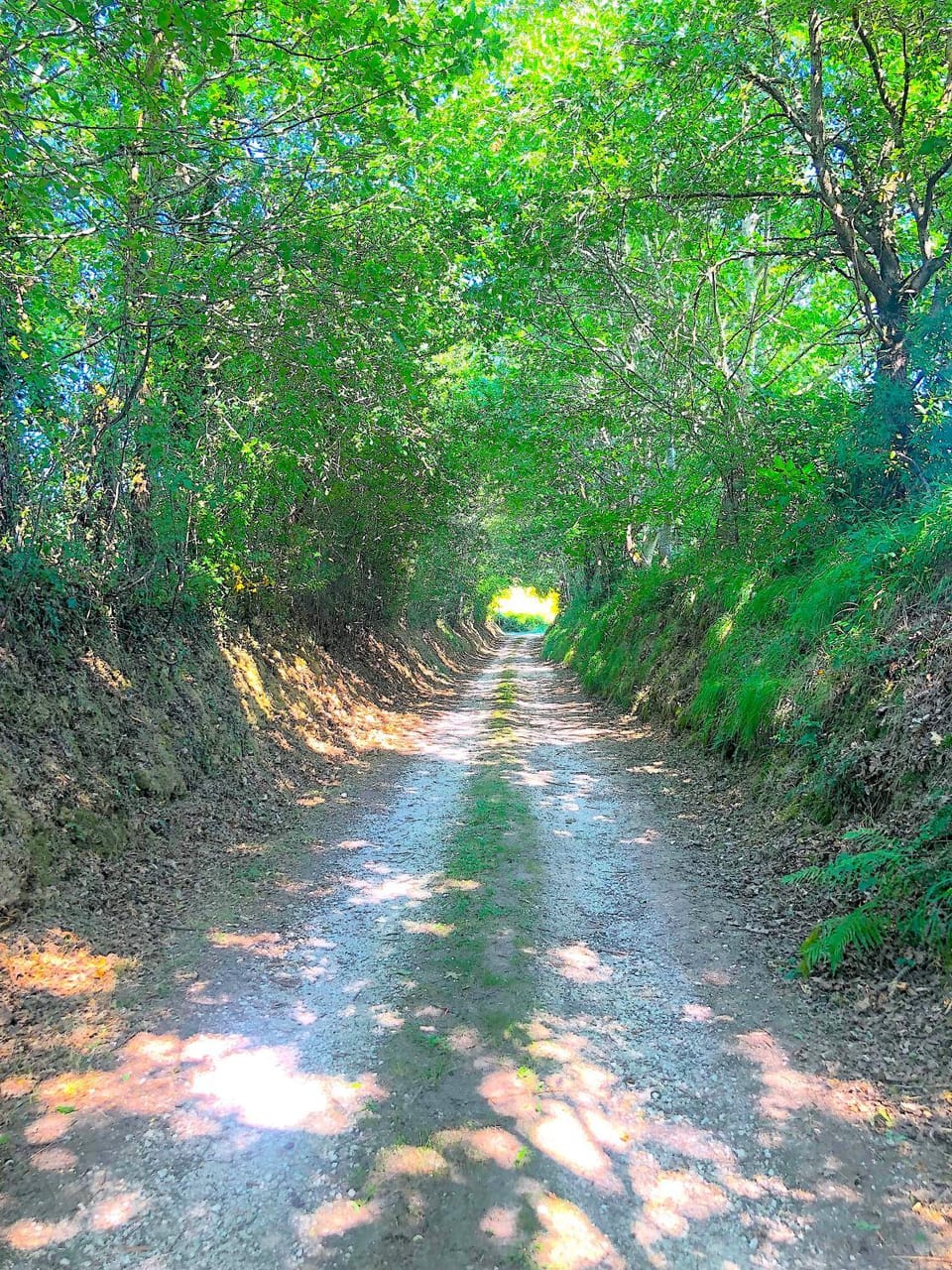 Natural landscape