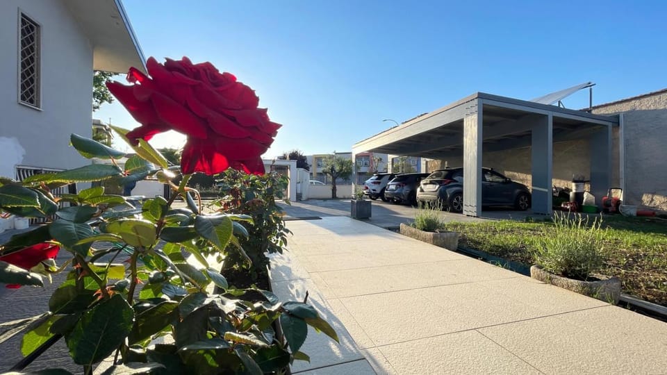 Garden, Parking