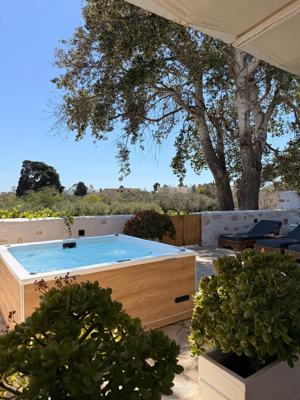 Day, Garden, Hot Tub, Garden view, Pool view, sunbed