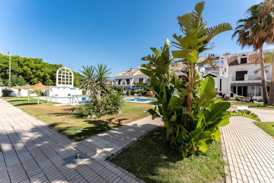 Spring, Natural landscape, Garden, Garden view