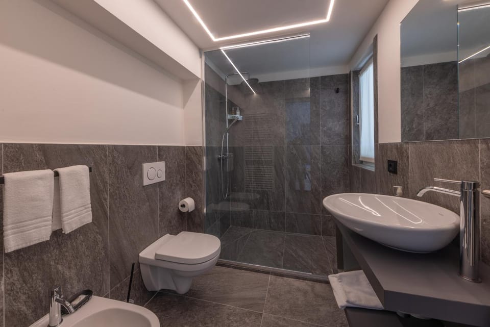 Shower, Toilet, Bathroom, bidet