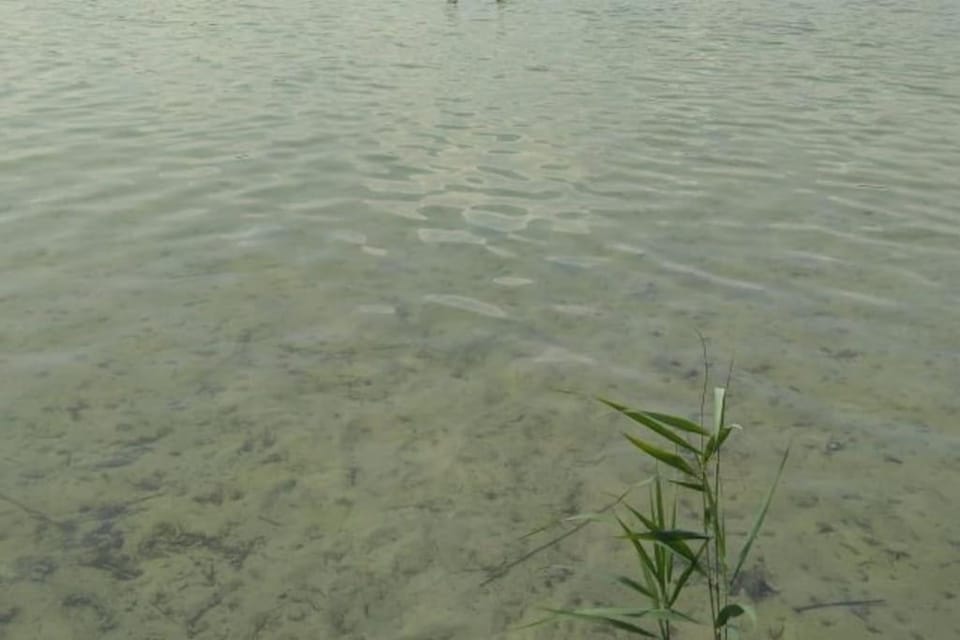 Natural landscape, Lake view