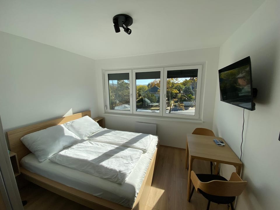 Bed, TV and multimedia, Photo of the whole room, hair dresser