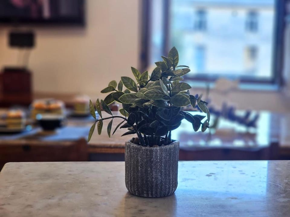 Ellera Suite con Parcheggio Privato - Albisola Superiore Apartment in Savona