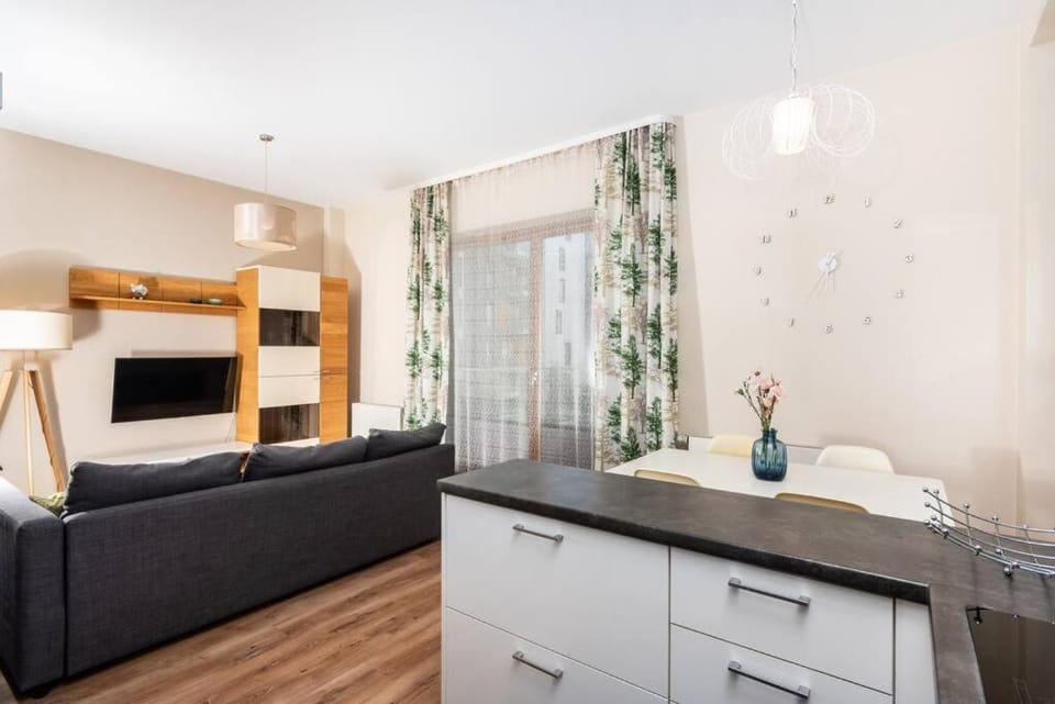 Kitchen or kitchenette, Living room, Photo of the whole room