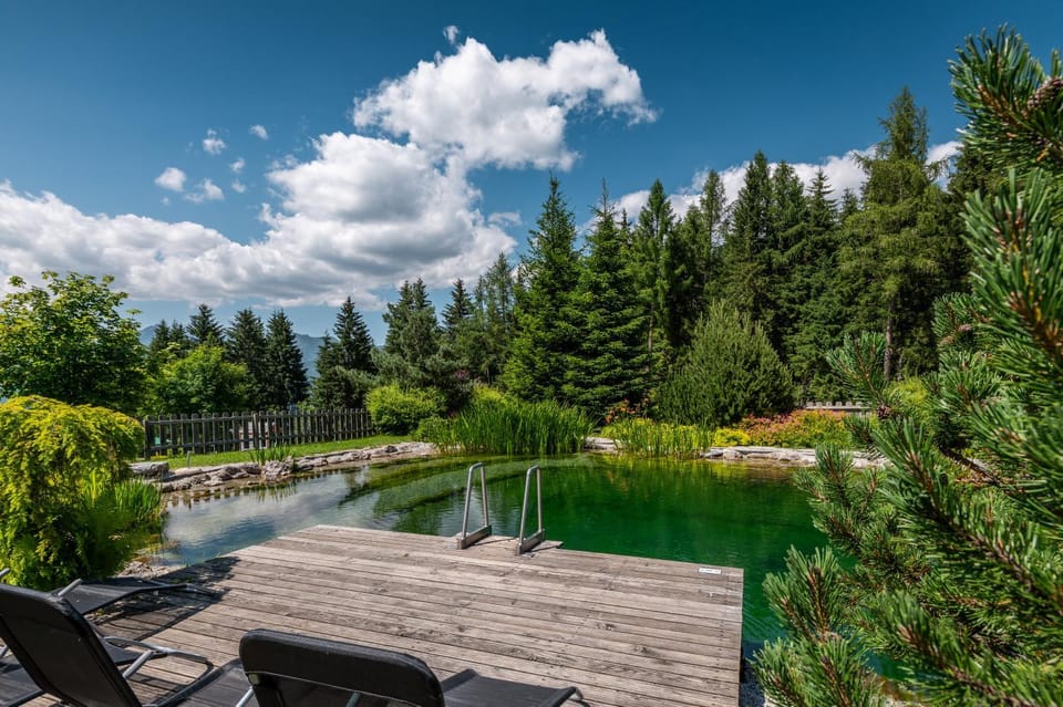 Poolchalet Dachsteinblick Chalet in Styria