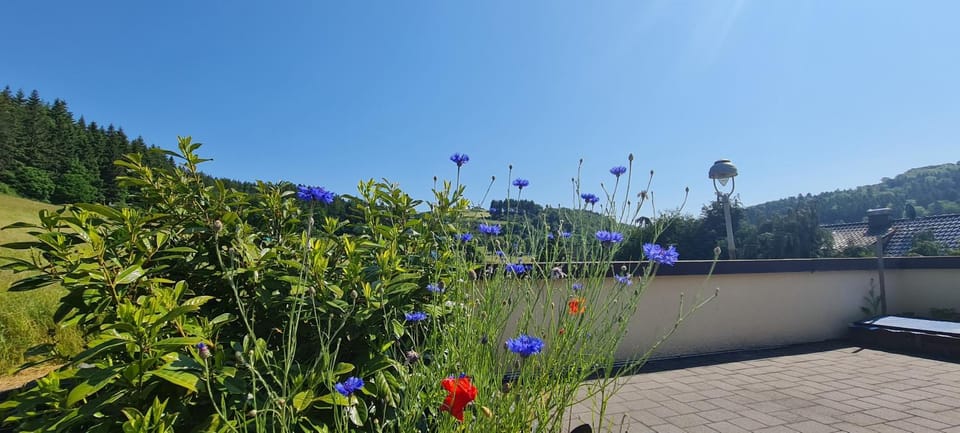 Spring, Day, Natural landscape, Garden, Garden view, Mountain view