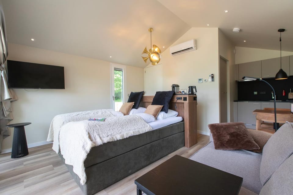 Bed, Living room, Photo of the whole room, air conditioner
