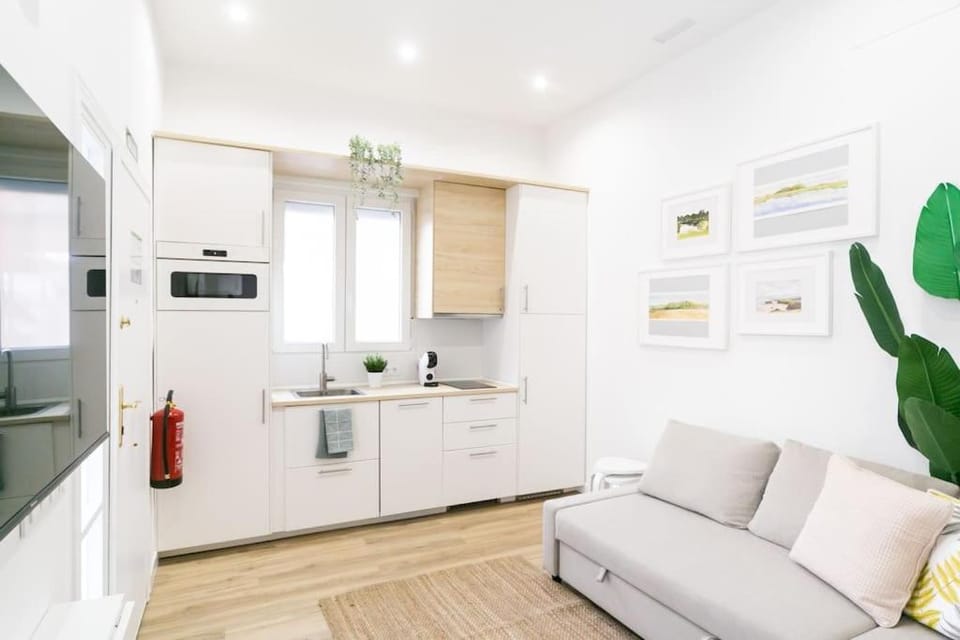 Acogedor y conveniente piso reformado en Salamanca Apartment in Madrid