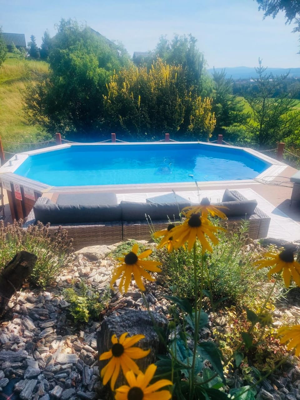 Garden, Garden view, Swimming pool