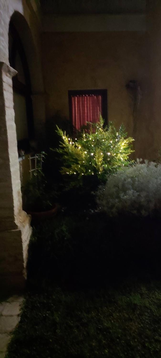 Casa Vacanze L'Ulivo di Ugo House in Quartu Sant'Elena