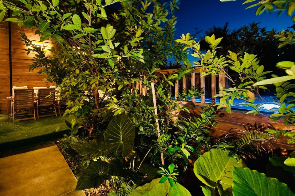 Night, Garden, Garden, Swimming pool, Swimming pool