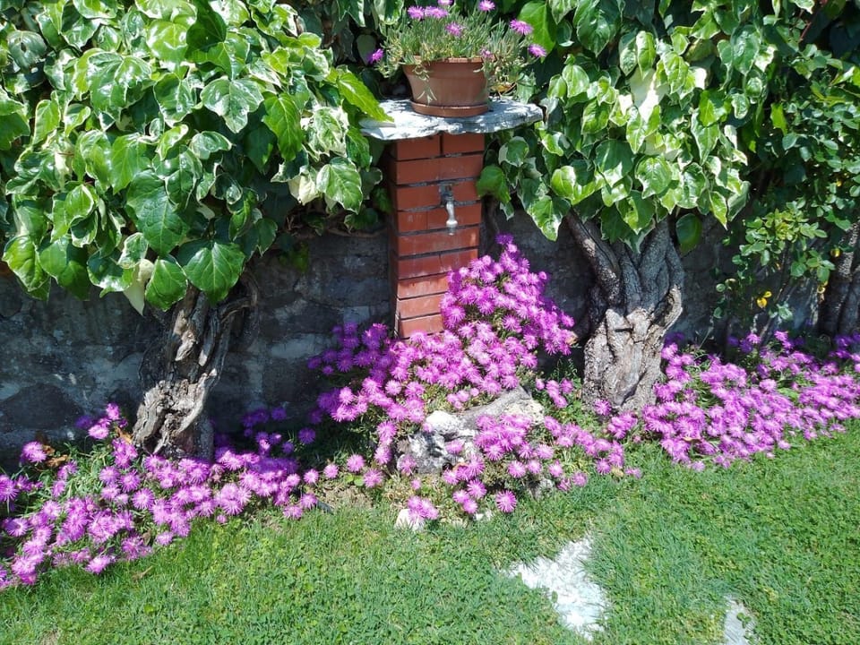 Le sette fontane Bed and Breakfast in Emilia-Romagna