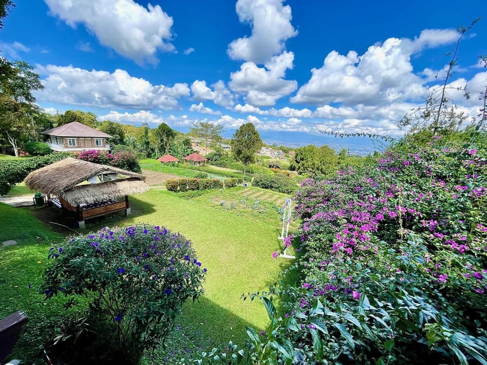 Garden view