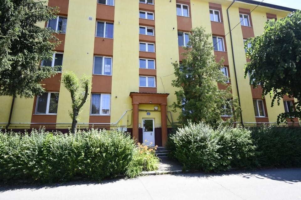 Mural Art Apartament Apartment in Romania