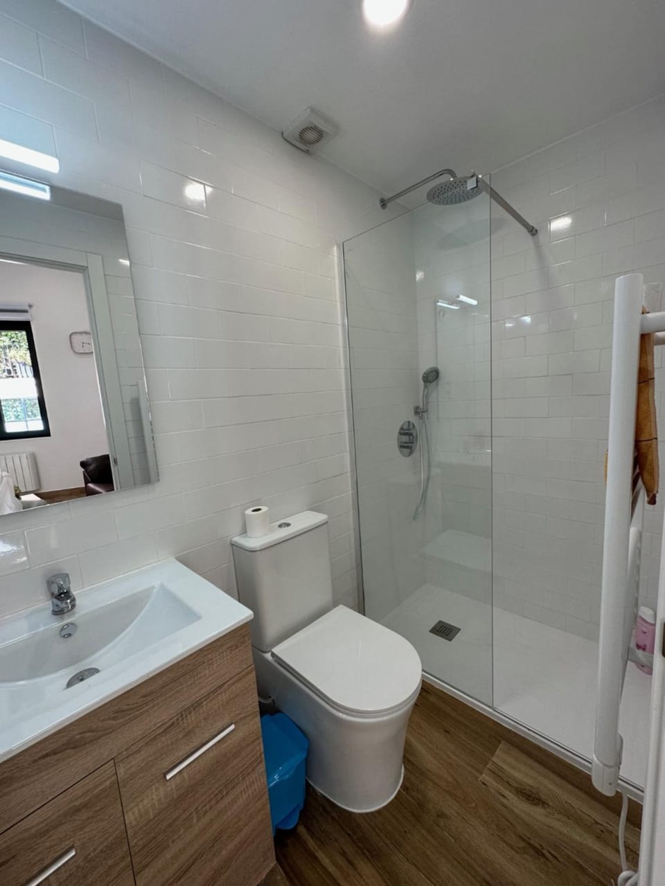 Shower, Toilet, Bathroom, towels