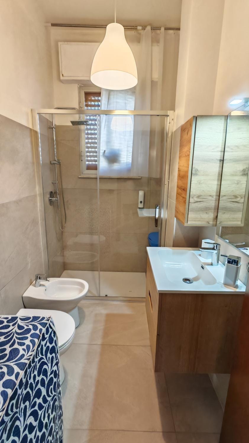 Shower, Toilet, Bathroom, bidet