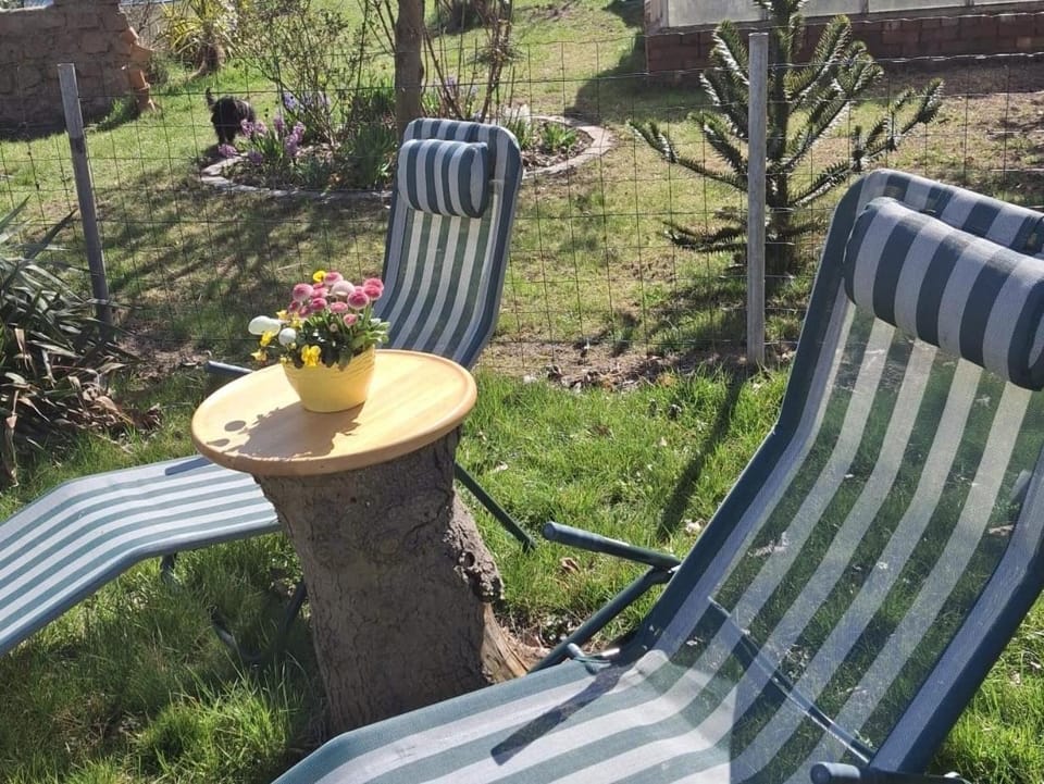 Ferienwohnung Rosengarten Apartment in Quedlinburg