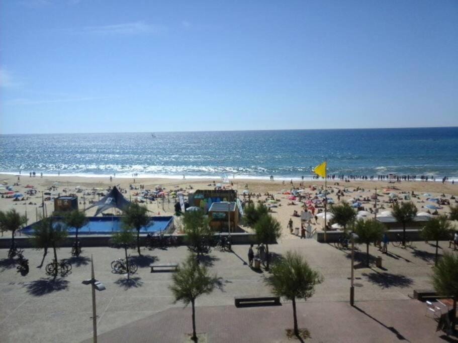 Hossegor Appartement T2 cabine - Superbe Vue Océan Cabin in Hossegor