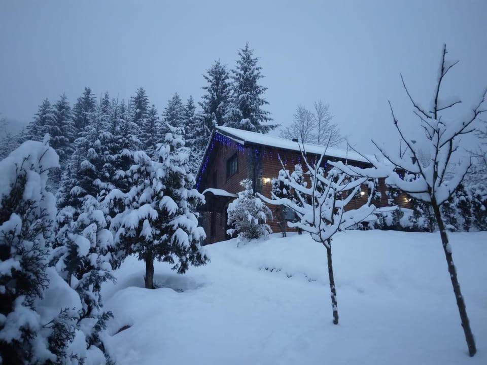 Cabana Vasc House in Romania