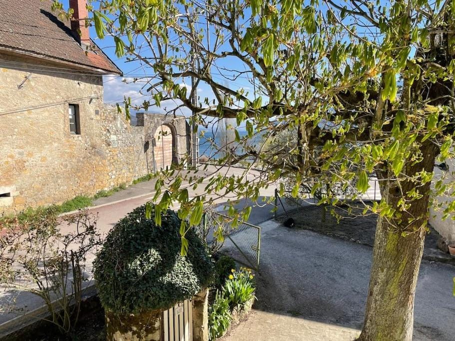 Property building, Garden view