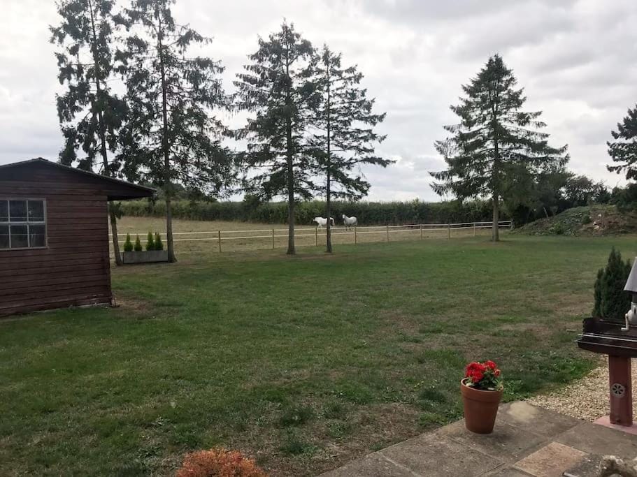 Natural landscape, Garden view