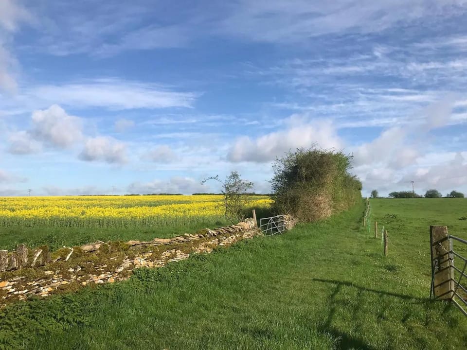 Natural landscape