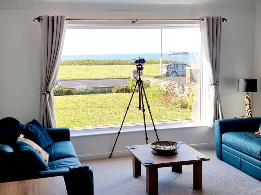 Natural landscape, Living room, Seating area