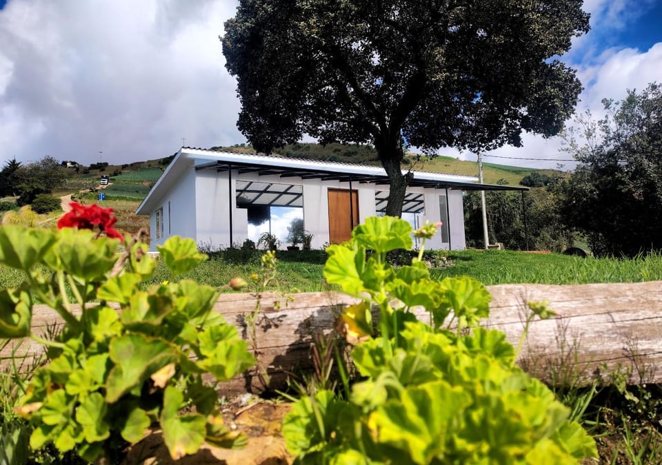 Garden view, Landmark view