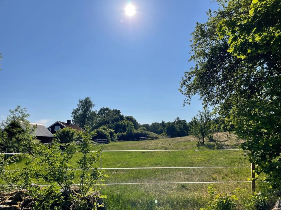Day, Natural landscape, View (from property/room)