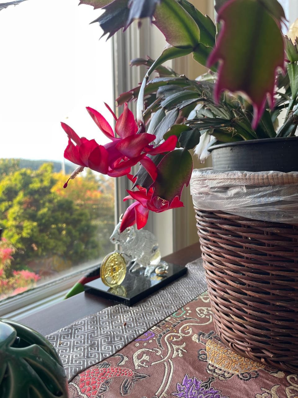 View (from property/room)