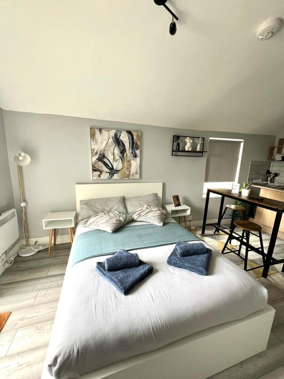 DVM escape Flat 2 Apartment in Bristol