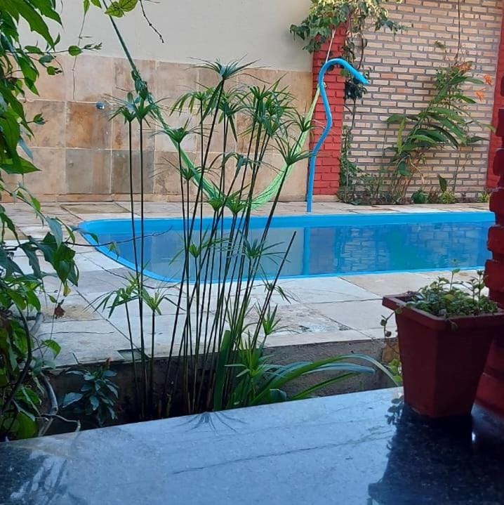 Garden, Garden, Pool view