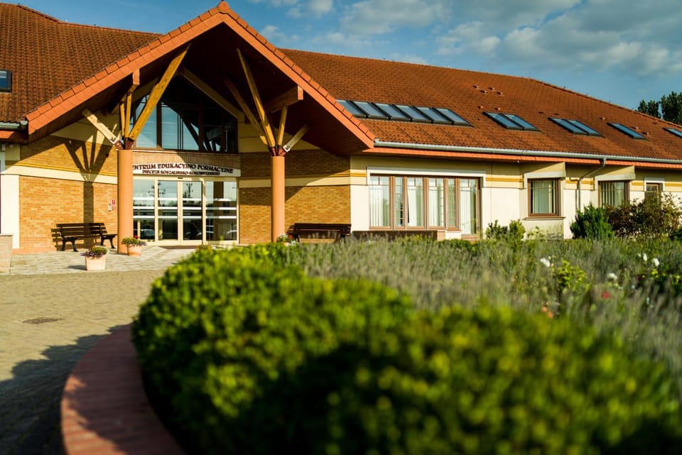 Property building, Spring, Day, Garden