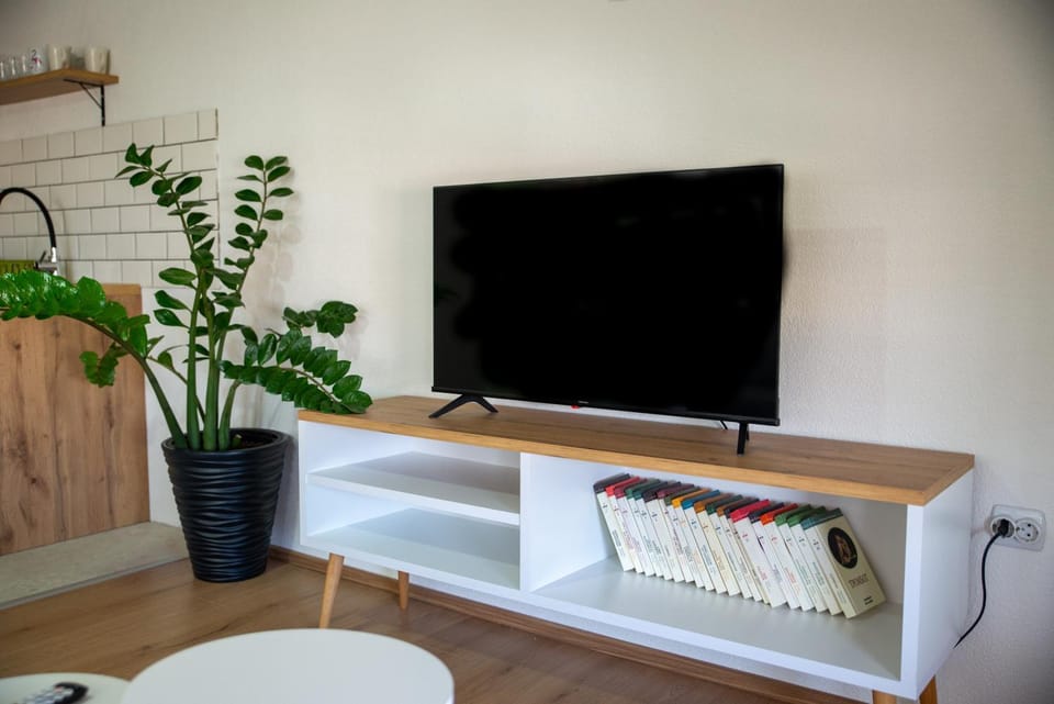 TV and multimedia