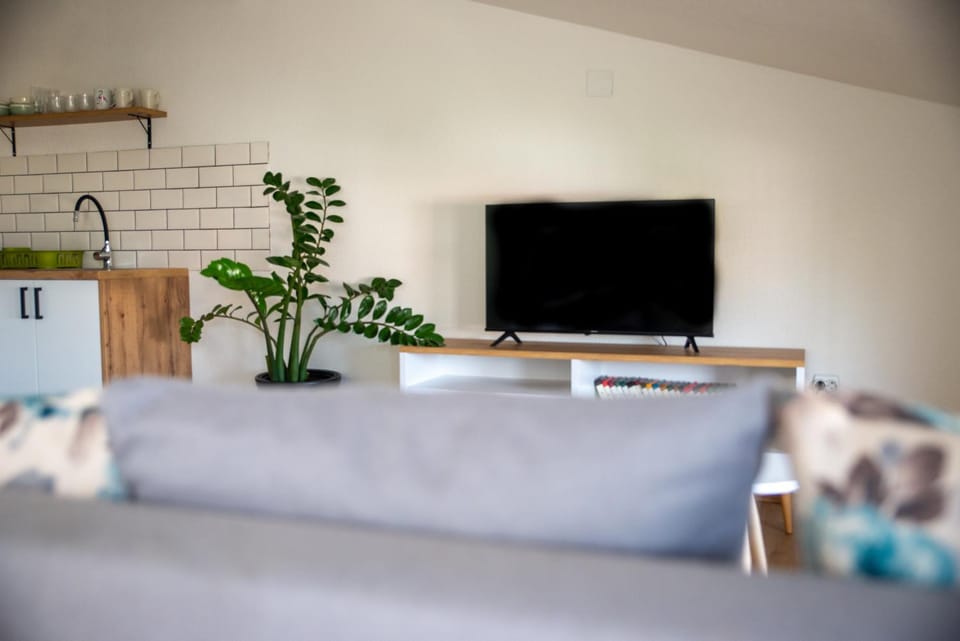 TV and multimedia, Seating area, air conditioner, air conditioner