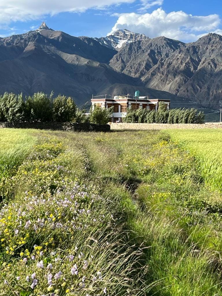 Guru view Home stay Vacation rental in India