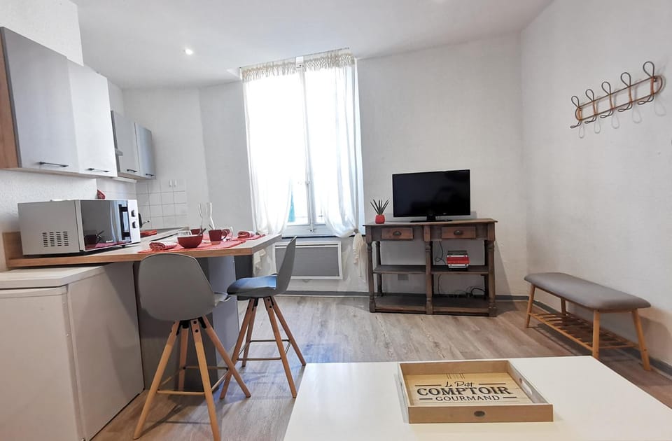 TV and multimedia, Kitchen or kitchenette, Living room, Seating area, Dining area, minibar, pet friendly